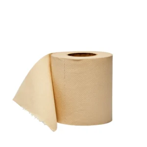 Bamboo Toilet Paper Roll